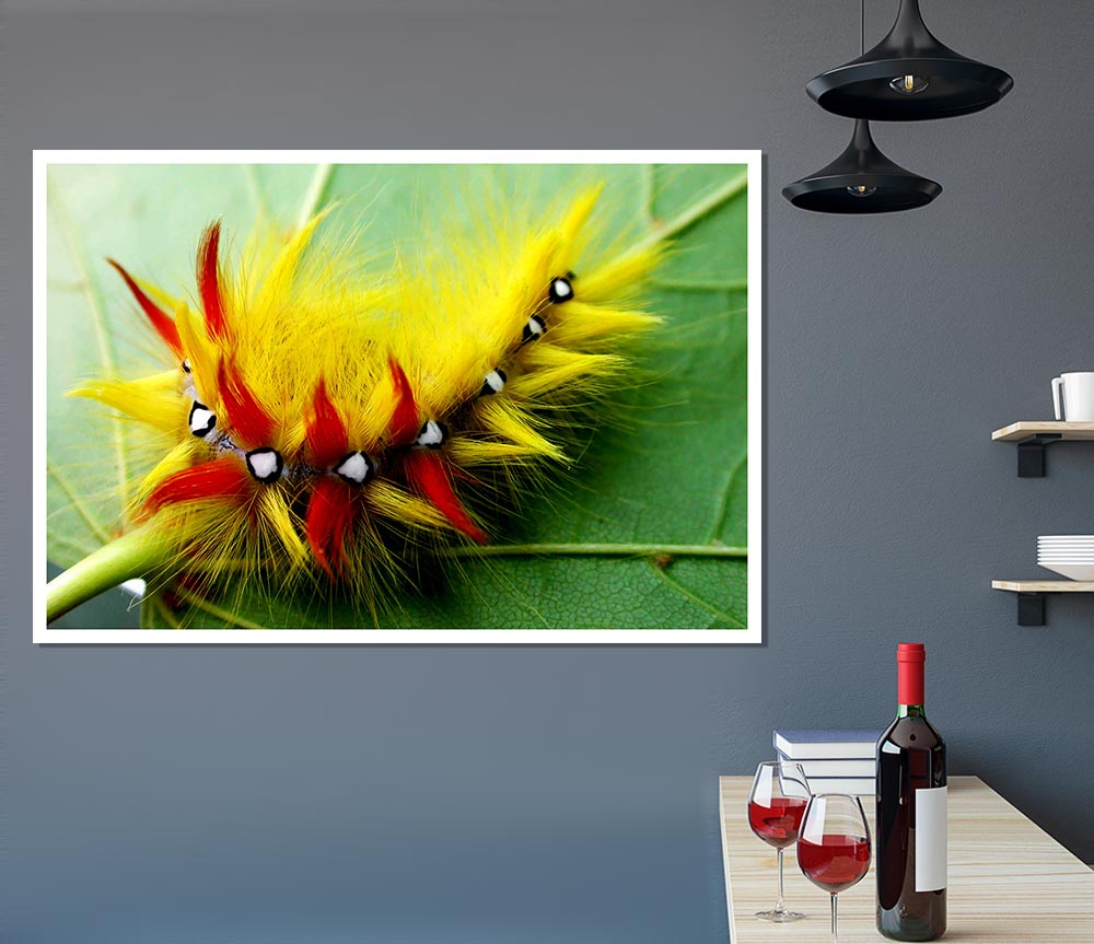 Caterpillar Beauty Print Poster Wall Art