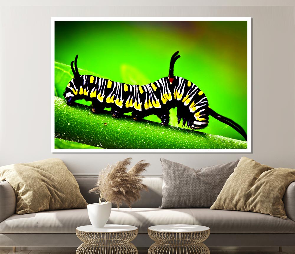 Caterpillar Macro Print Poster Wall Art