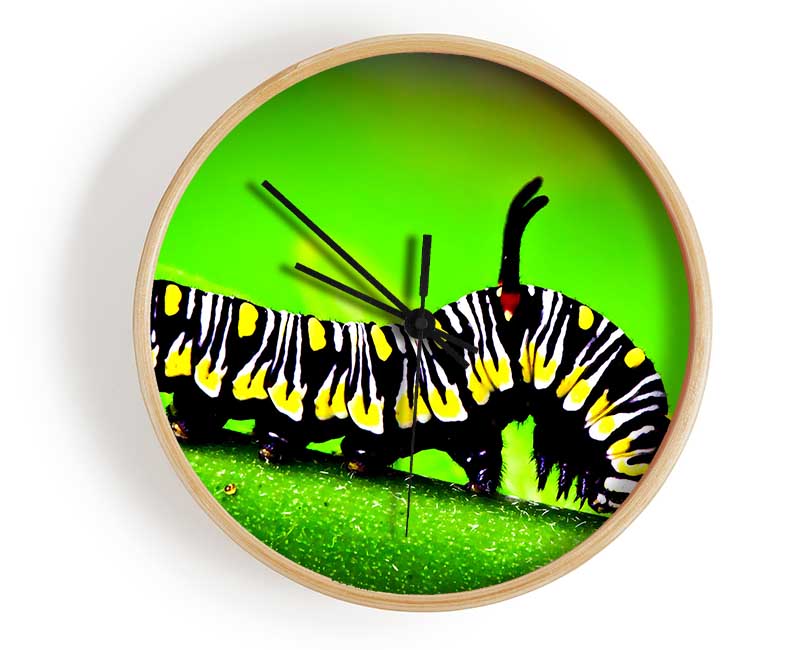 Caterpillar Macro Clock - Wallart-Direct UK