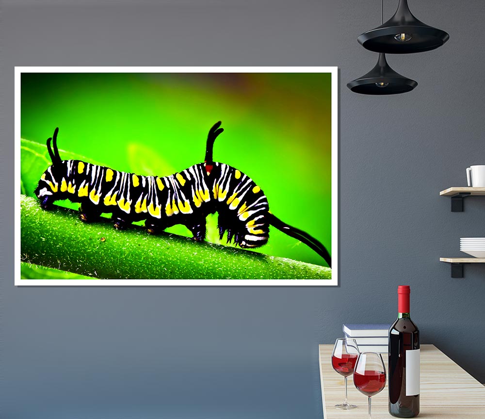 Caterpillar Macro Print Poster Wall Art