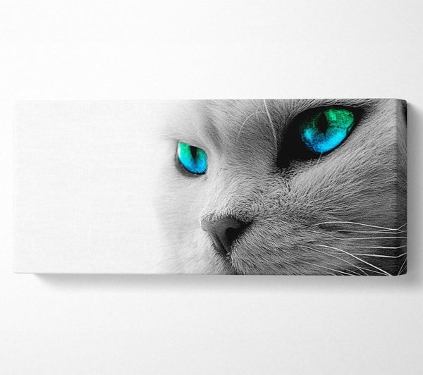 Cats Eyes Blue n Green