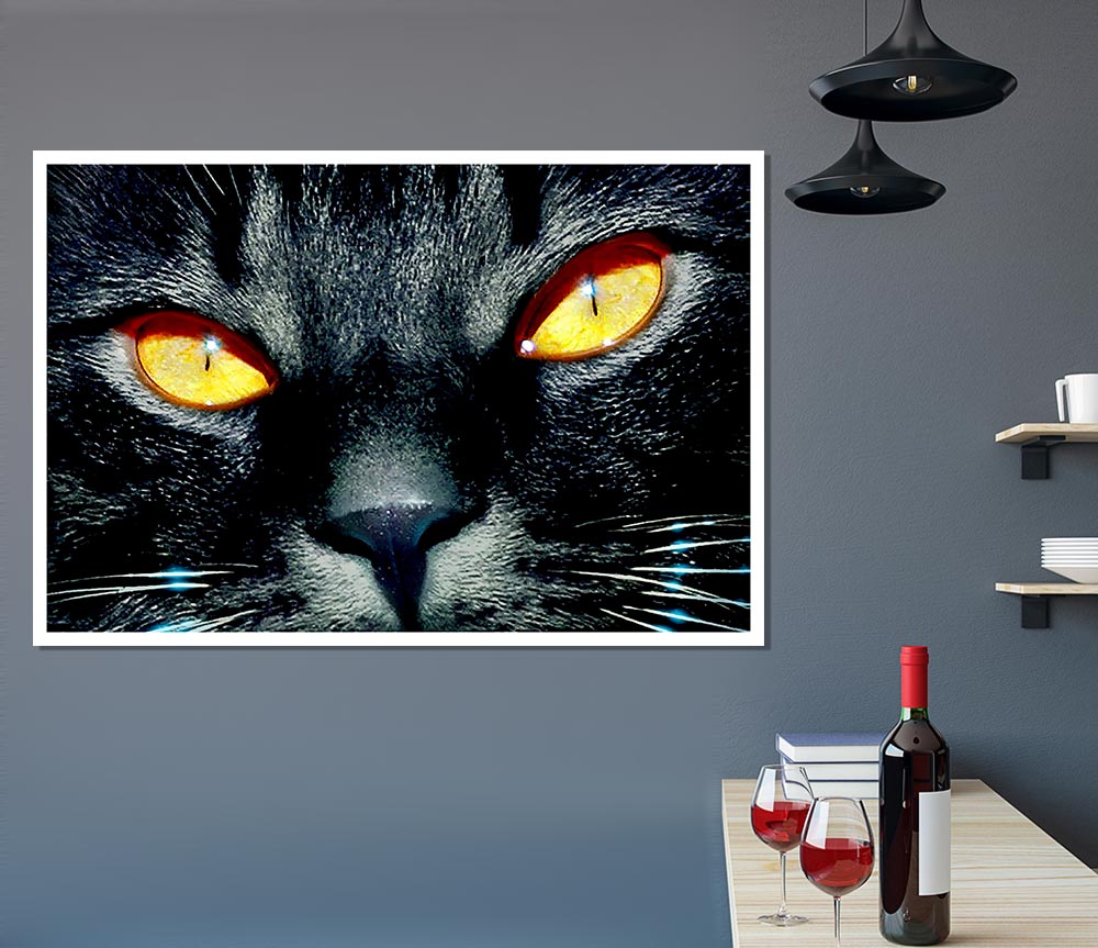 Cats Eyes Print Poster Wall Art