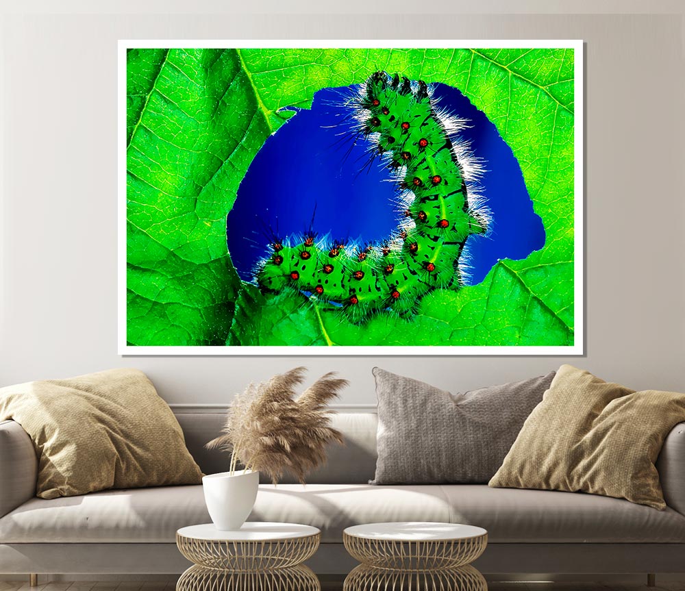 Caterpiller Delight Print Poster Wall Art