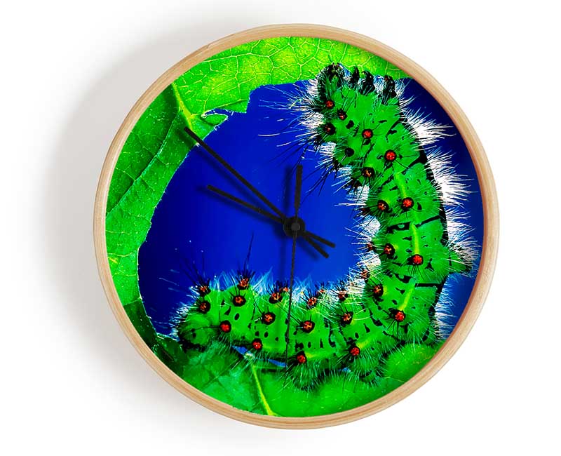 Caterpiller Delight Clock - Wallart-Direct UK