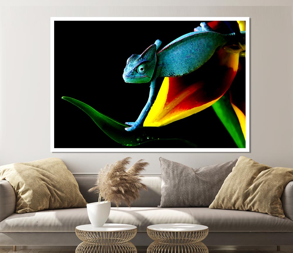 Chameleon In Blue Print Poster Wall Art