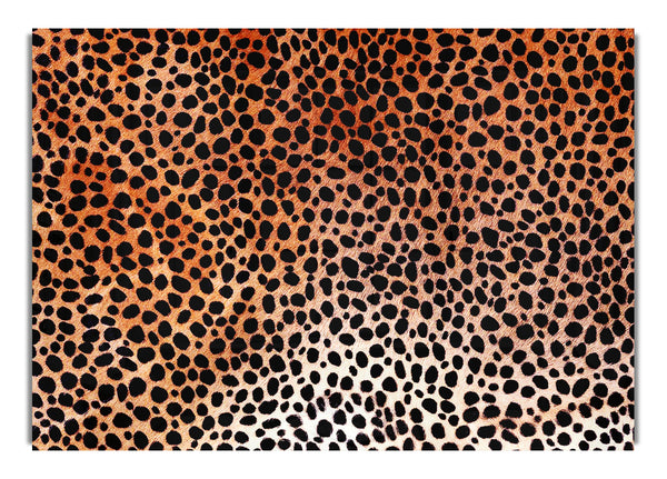 Cheetah Skin