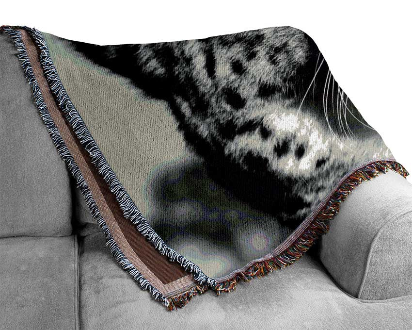 Cheetah Stare Woven Blanket