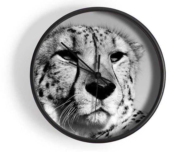 Cheetah Stare Clock - Wallart-Direct UK