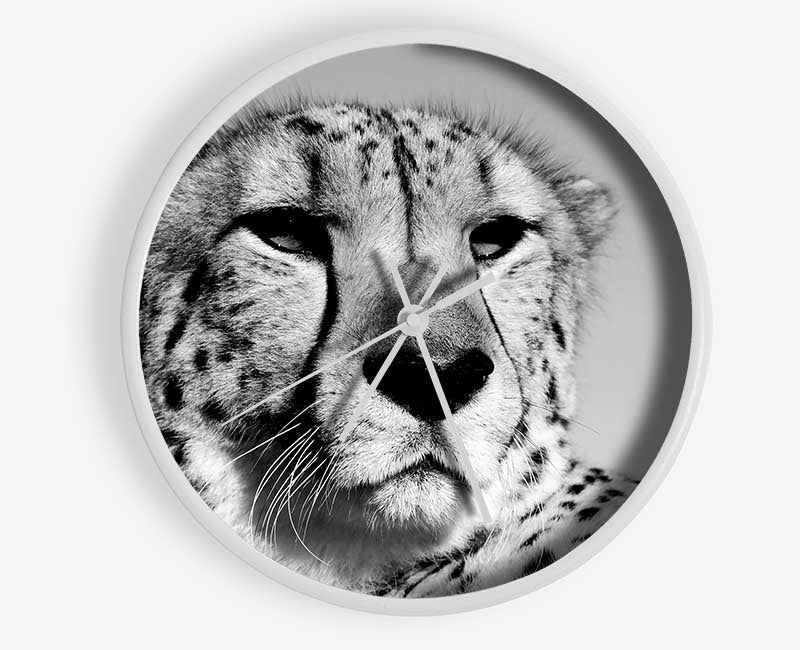 Cheetah Stare Clock - Wallart-Direct UK