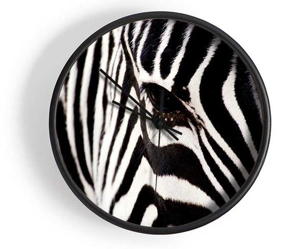 Close-up Face Zebra Clock - Wallart-Direct UK