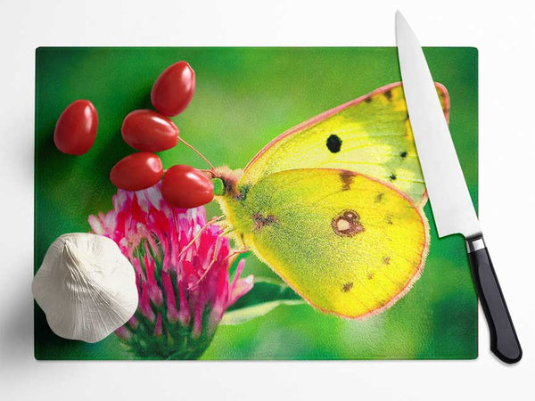 Colias Hyale Butterfly Glass Chopping Board