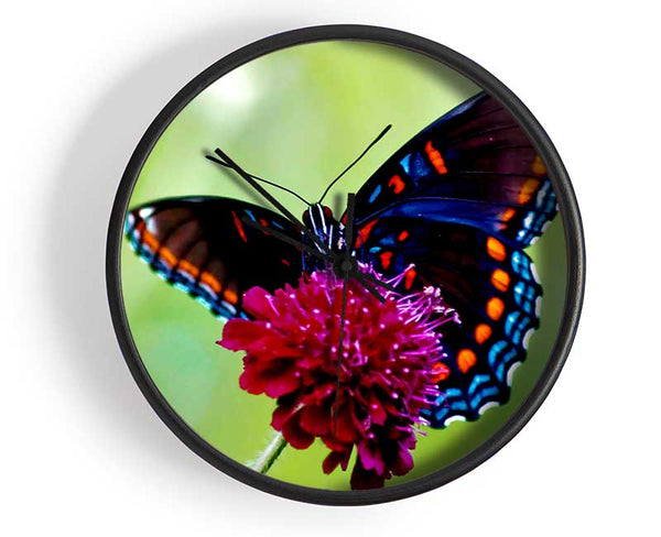 Colourful Butterfly Flower Clock - Wallart-Direct UK