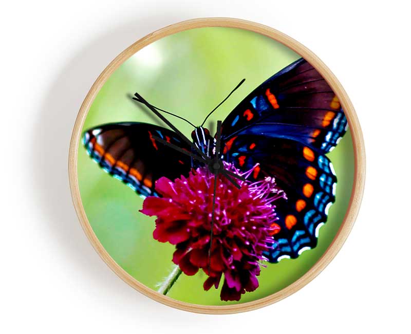 Colourful Butterfly Flower Clock - Wallart-Direct UK