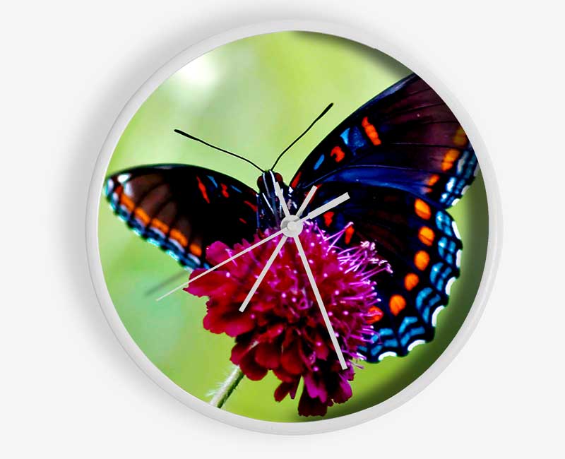 Colourful Butterfly Flower Clock - Wallart-Direct UK