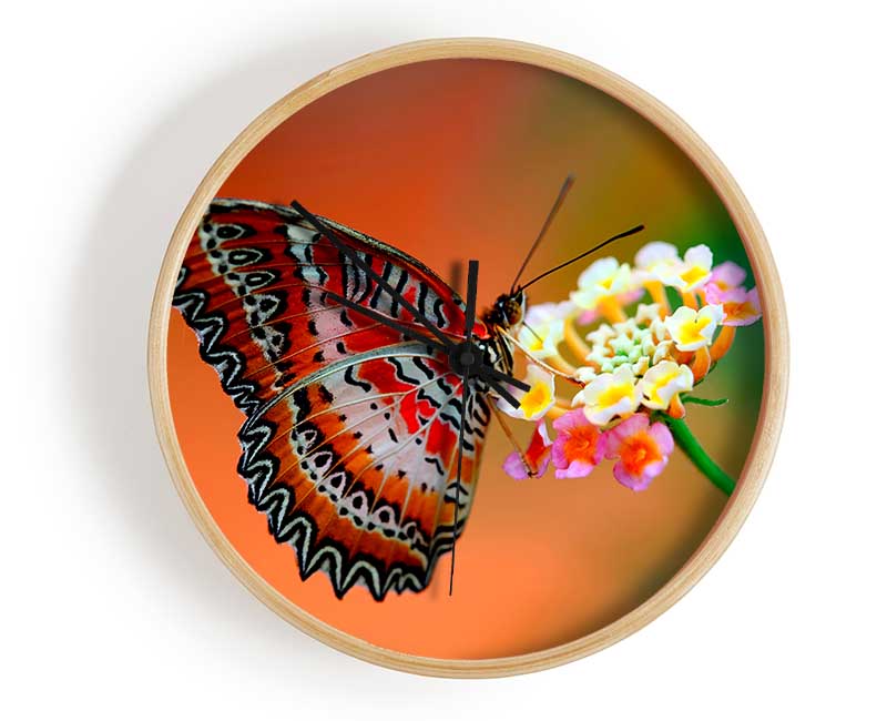 Colourful Butterfly Rests Clock - Wallart-Direct UK