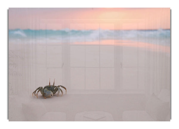 Crab On Beach