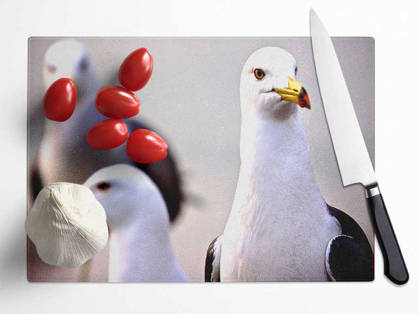 Curious Seagull Glass Chopping Board