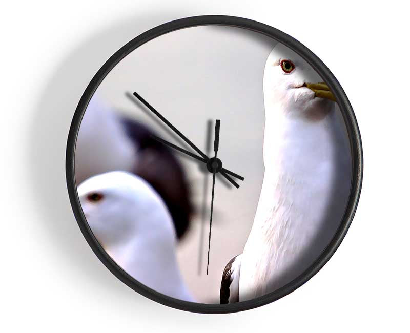 Curious Seagull Clock - Wallart-Direct UK