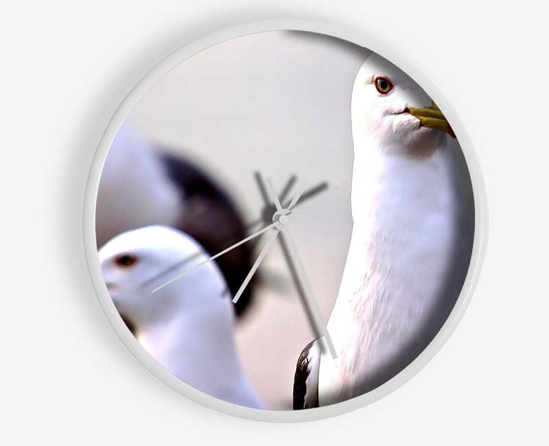 Curious Seagull Clock - Wallart-Direct UK