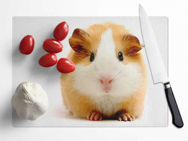 Cute Guinea Pig Glass Chopping Board