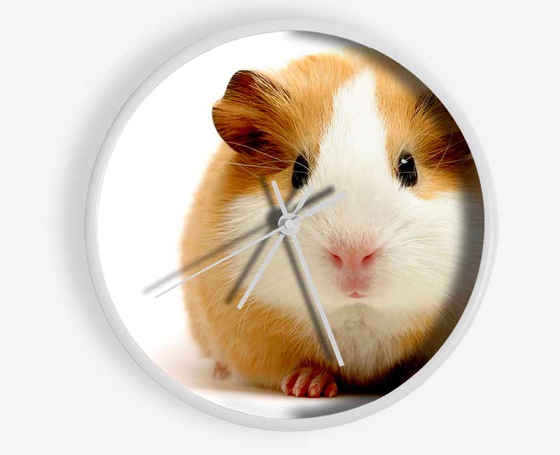 Cute Guinea Pig Clock - Wallart-Direct UK