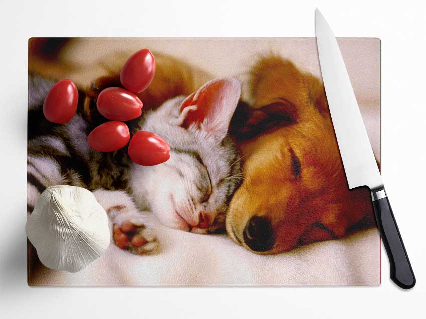 Cute Kitten And Puppy Glass Chopping Board