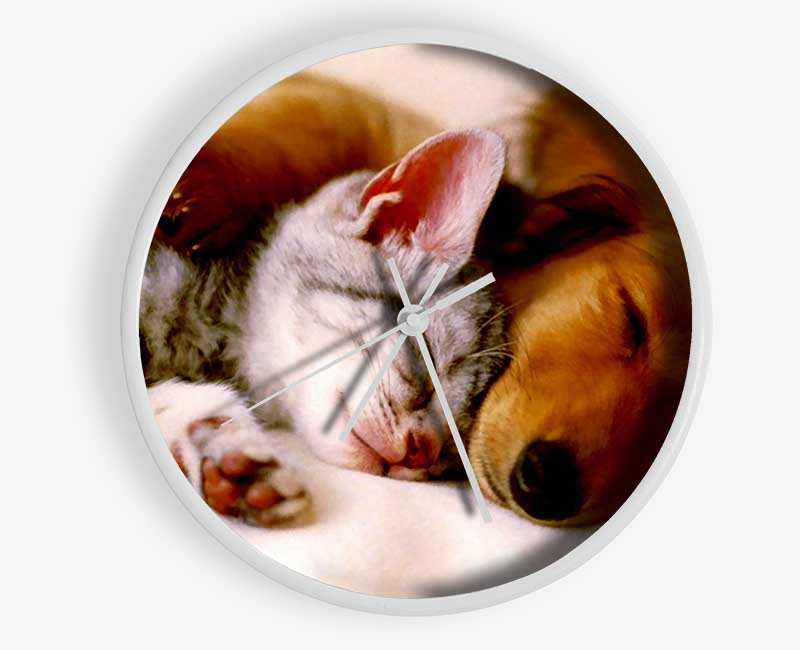 Cute Kitten And Puppy Clock - Wallart-Direct UK