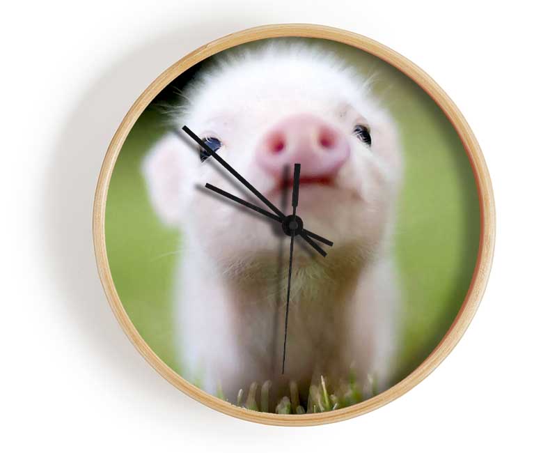 Cute Pig Clock - Wallart-Direct UK