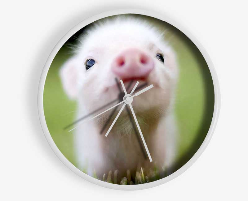 Cute Pig Clock - Wallart-Direct UK