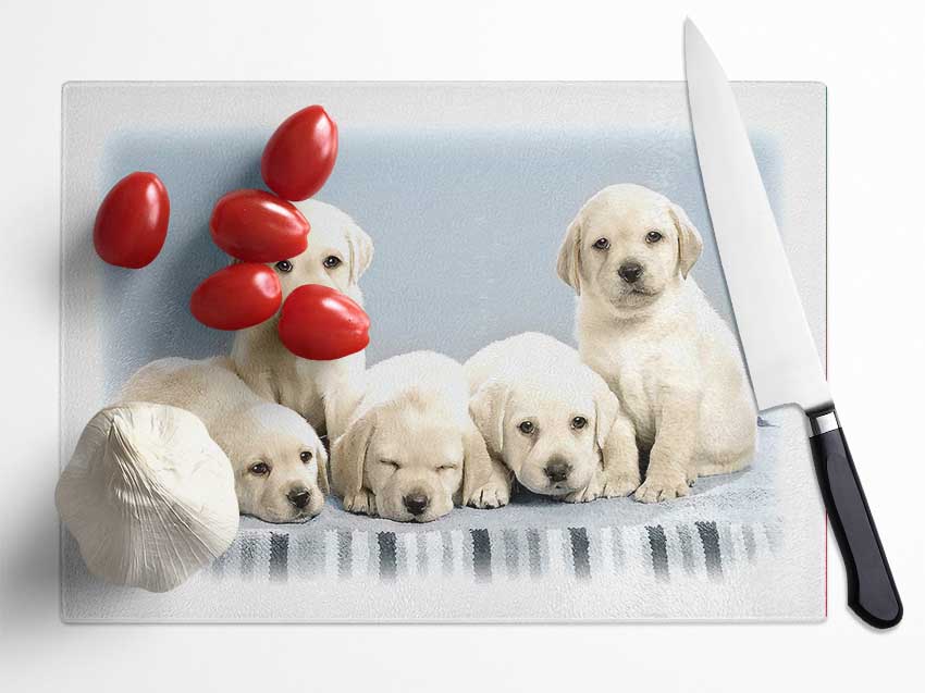 Cute Puppies Glass Chopping Board