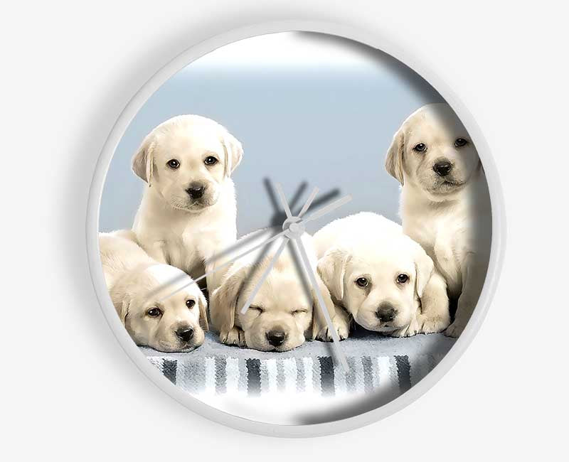 Cute Puppies Clock - Wallart-Direct UK