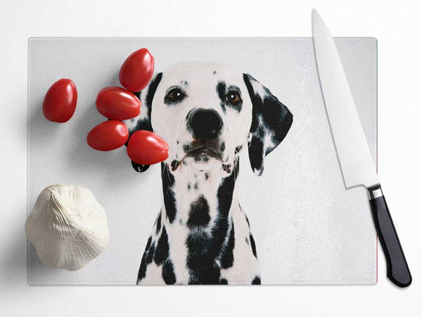 Dalmatian Beauty Glass Chopping Board