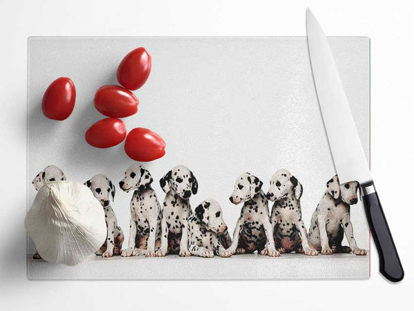 Dalmatian Puppy Fun Glass Chopping Board