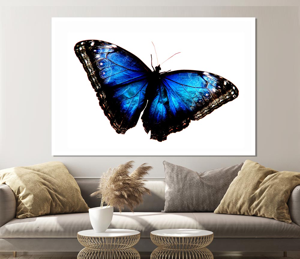 Diamond Blue Butterfly Wings Print Poster Wall Art