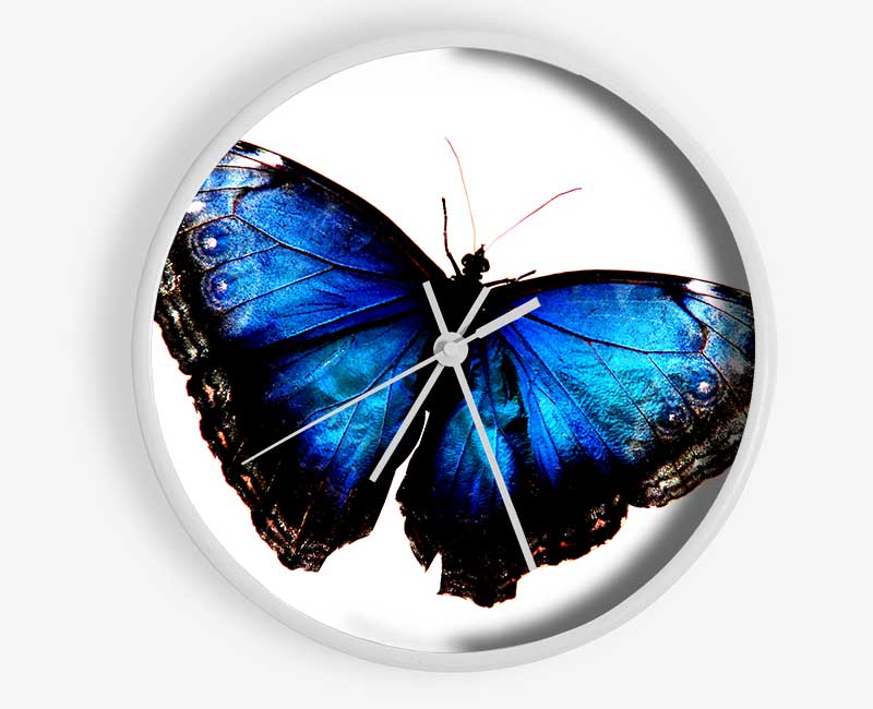 Diamond Blue Butterfly Wings Clock - Wallart-Direct UK