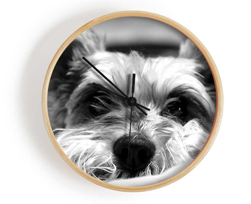 Dog B n W Clock - Wallart-Direct UK