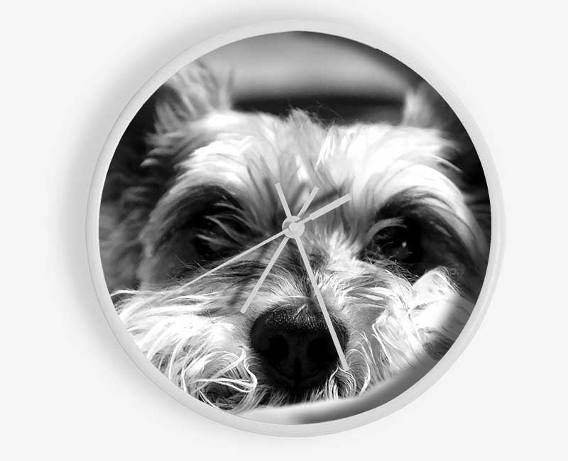 Dog B n W Clock - Wallart-Direct UK