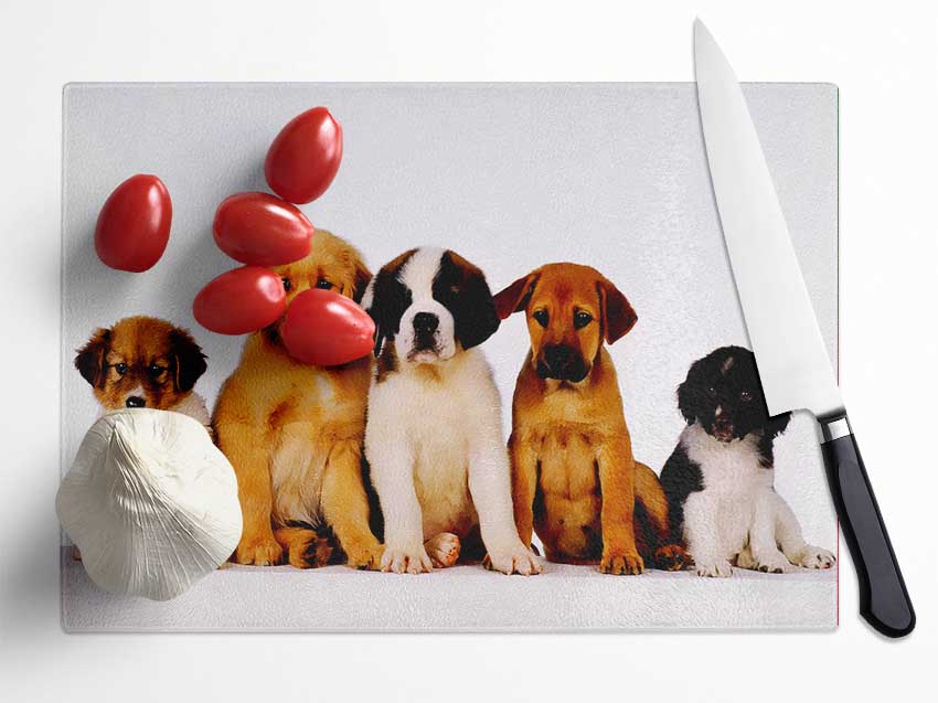 Dog Family Glass Chopping Board