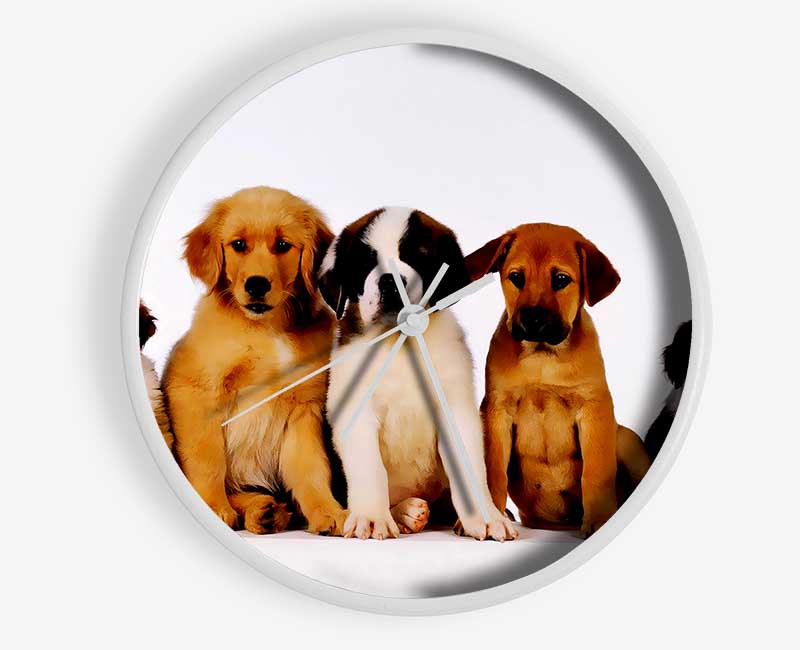 Dog Family Clock - Wallart-Direct UK