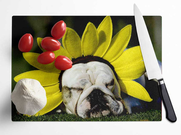 Dog Sunflower Hat Glass Chopping Board