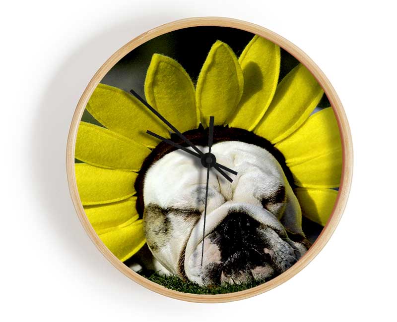 Dog Sunflower Hat Clock - Wallart-Direct UK