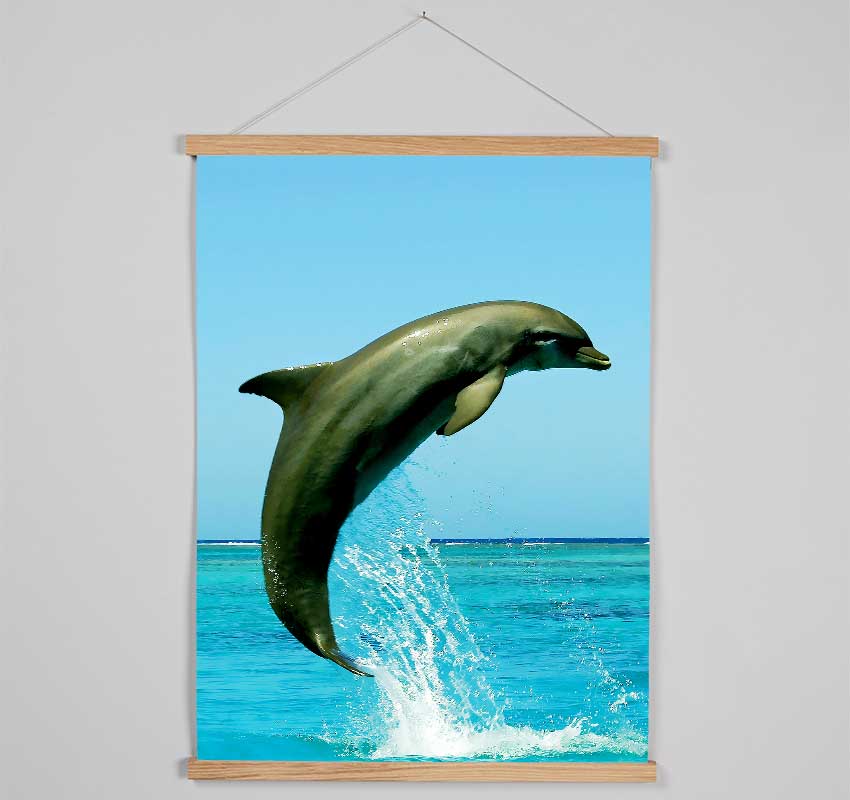 Dolphin Jump Hanging Poster - Wallart-Direct UK