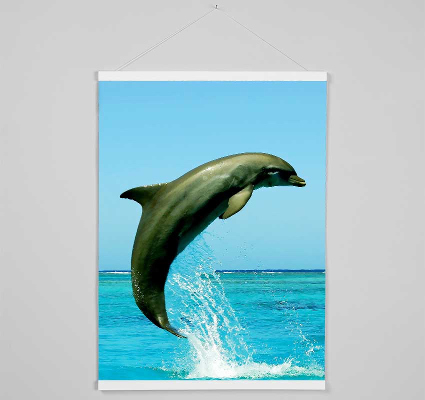 Dolphin Jump Hanging Poster - Wallart-Direct UK