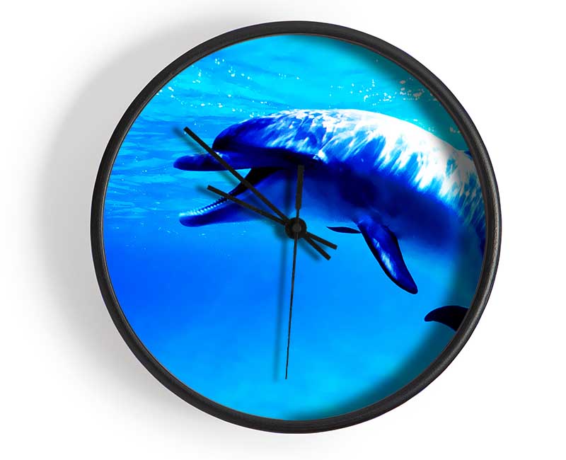 Dolphin Talk Clock - Wallart-Direct UK