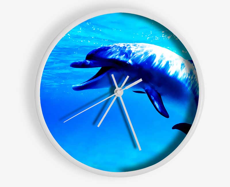 Dolphin Talk Clock - Wallart-Direct UK