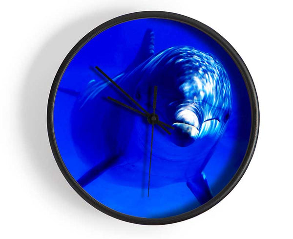 Dolphins Curiosity Clock - Wallart-Direct UK