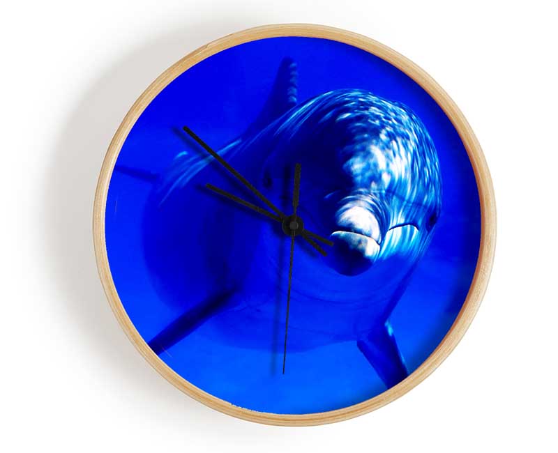 Dolphins Curiosity Clock - Wallart-Direct UK