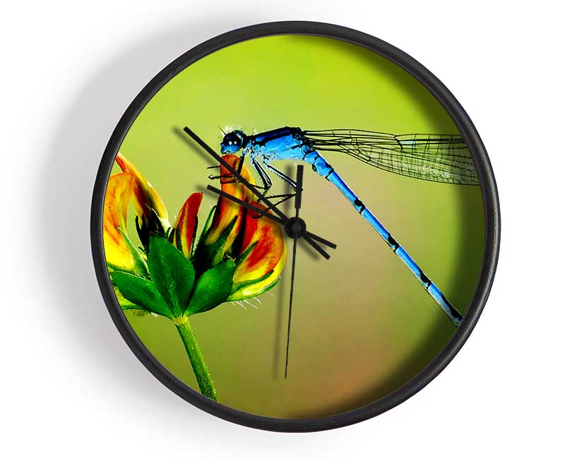 Dragonfly Beauty Clock - Wallart-Direct UK