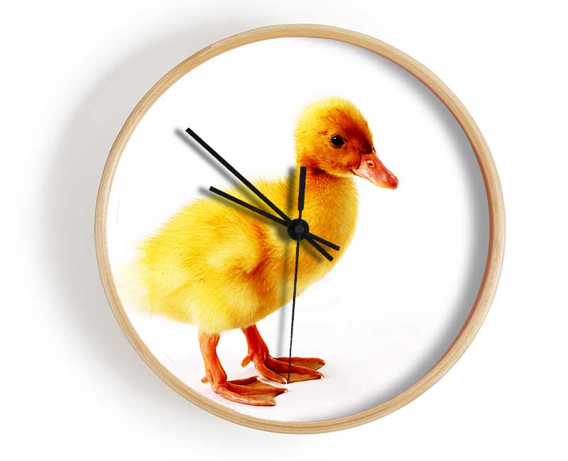 Duckling Clock - Wallart-Direct UK