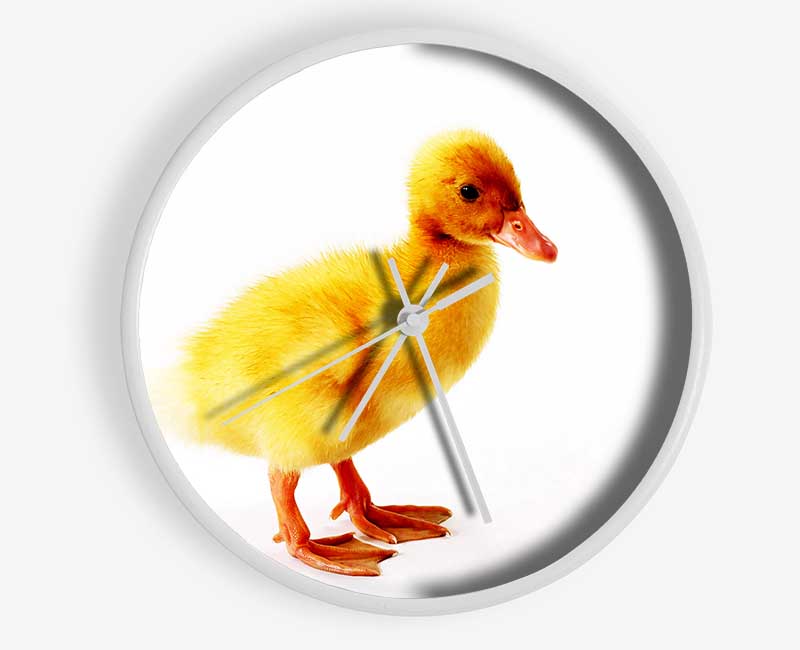 Duckling Clock - Wallart-Direct UK